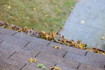 Roof Gutter Maintenance