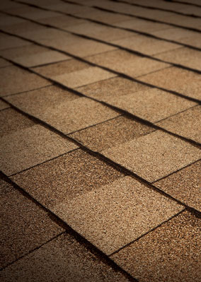 Lone Star Roofing Images