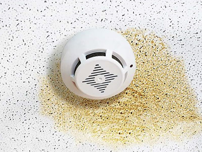 Lone Star Roofing Images