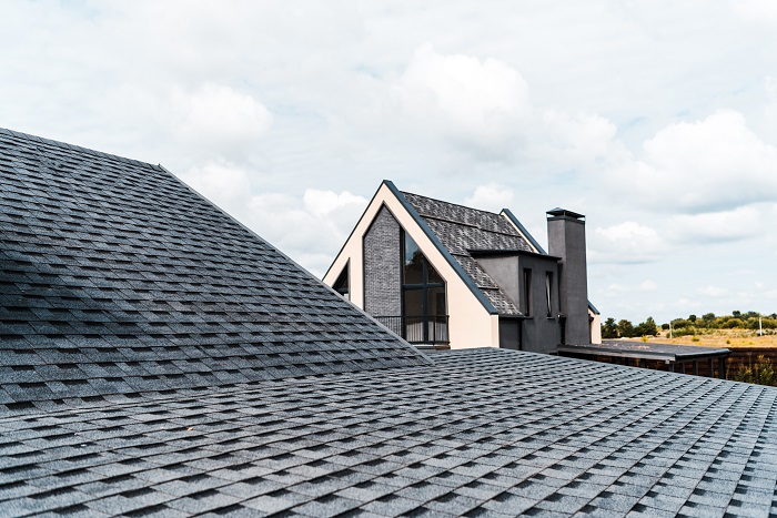 Modern Roof Trend