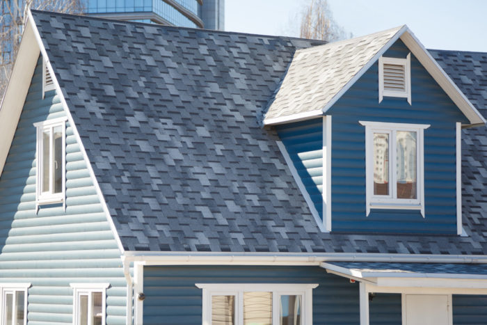 Roof Trend Blue And White House