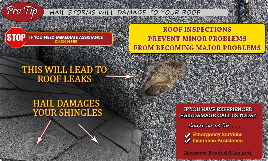 Pro tip graphic: hail storms damage shingles and lead to roof leaks, so book a roof inspection