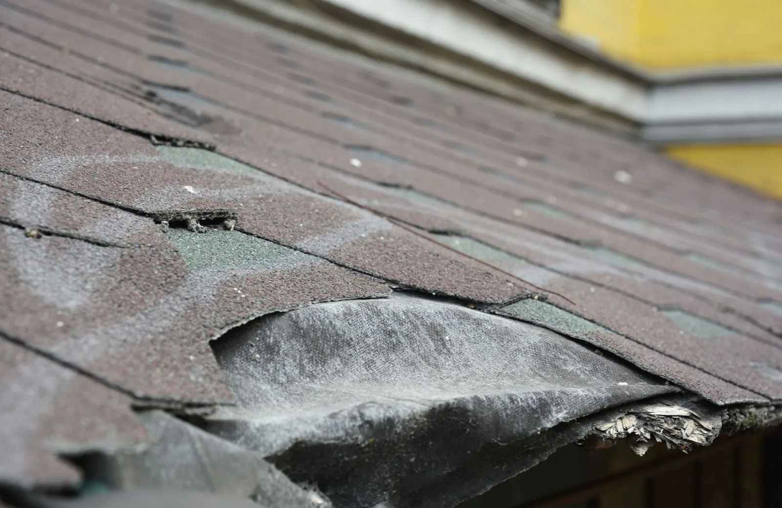 Lone Star Roofing Images