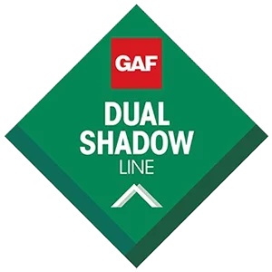 Dual Shadow Line logo